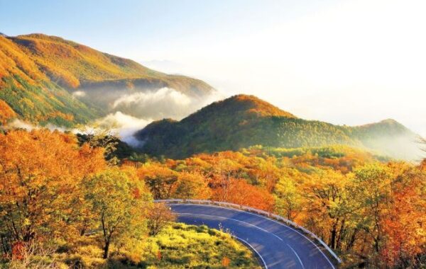 秋のおでかけスポット