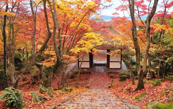 秋燃える、紅葉絶景