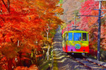 【2024】高尾山の紅葉の見頃時期は？絶景スポットや混雑回避テク、服装なども紹介