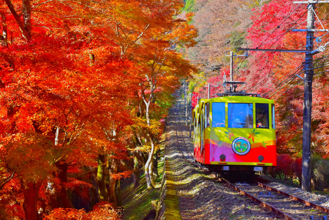 2024】高尾山の紅葉の見頃時期は？絶景スポットや混雑回避テク、服装
