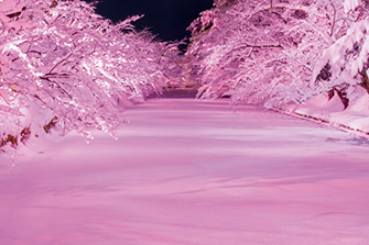 弘前城雪燈籠まつり
