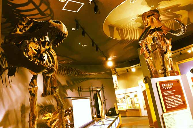 �y�{��z�J�̓��ɂ������߂̊ό��X�|�b�g17�I�I�����Ŋy���߂�{�݂��Љ�