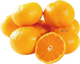 道の駅 海南サクアス