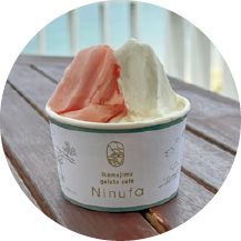 Ikemajima gelato cafe Ninufa