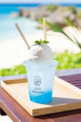 Ikemajima gelato cafe Ninufa