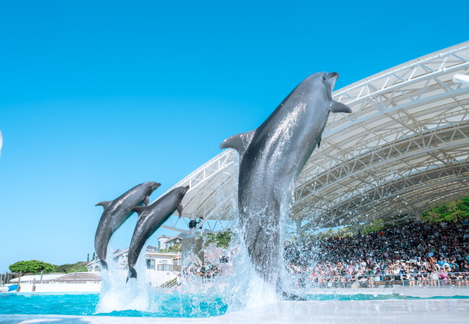 国営沖縄記念公園(海洋博公園)・沖縄美ら海水族館
