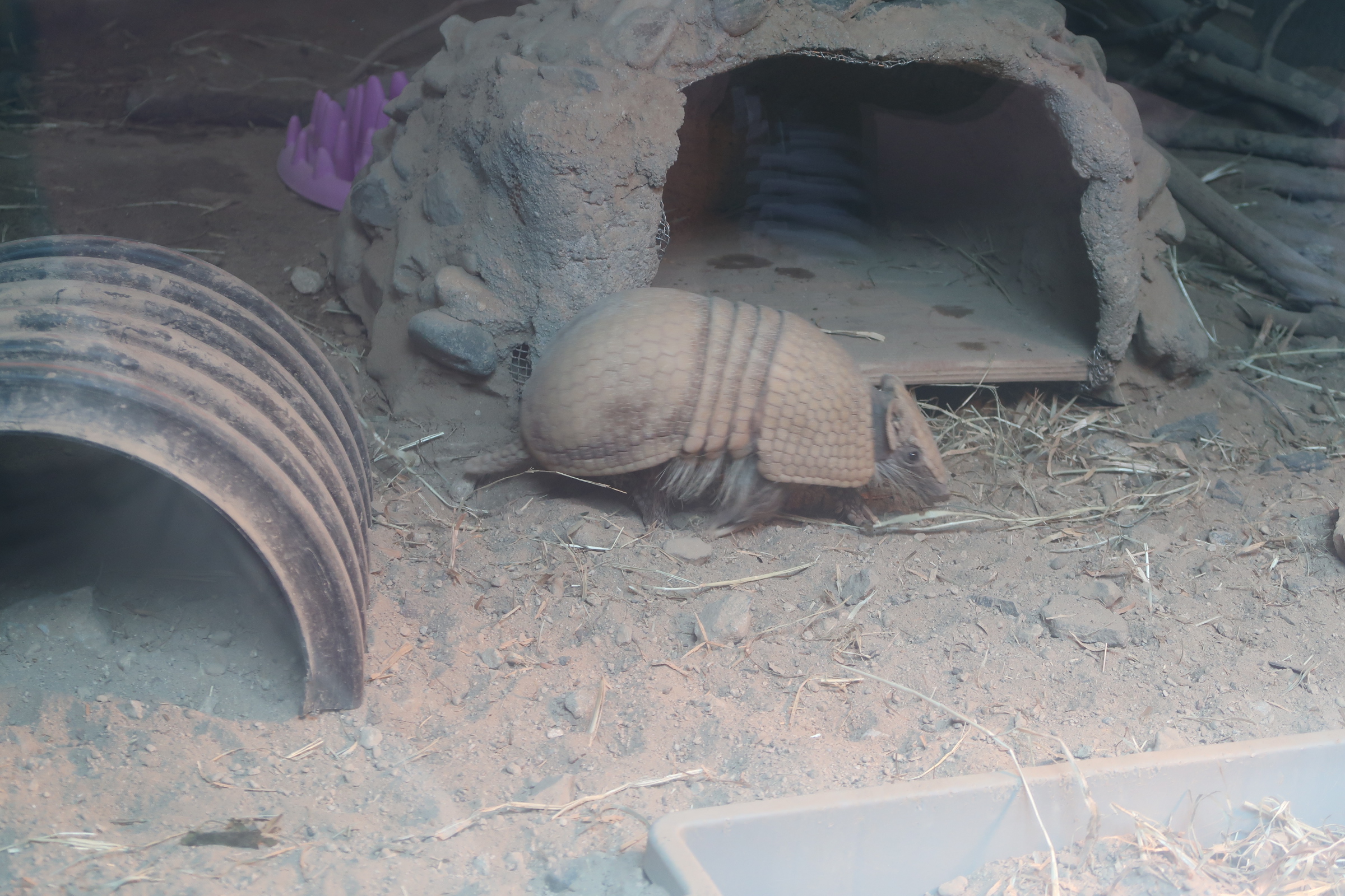 鹿児島市平川動物公園