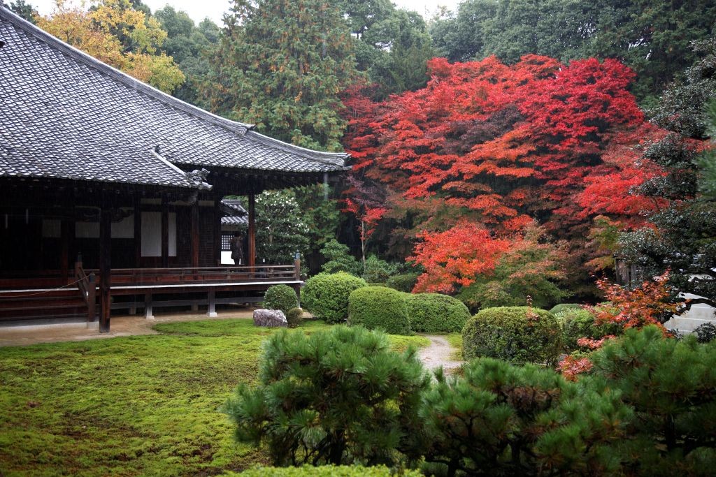 隨心院