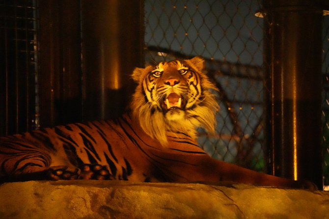 名古屋市東山動植物園