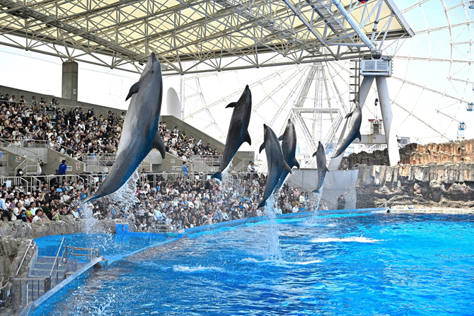 名古屋港水族館