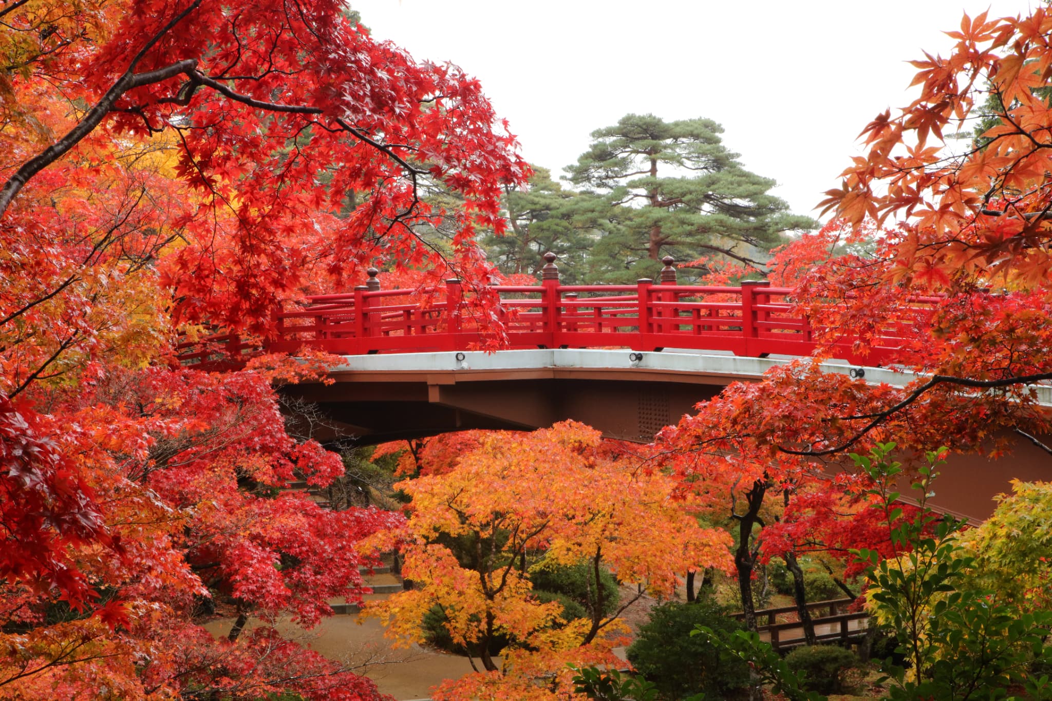 弥彦公園