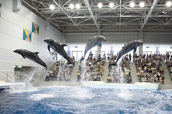 いおワールドかごしま水族館