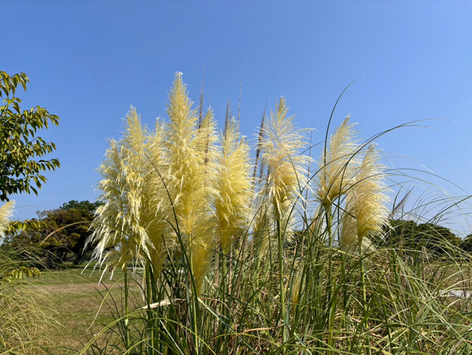 海の中道海浜公園