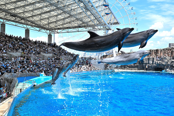名古屋港水族館