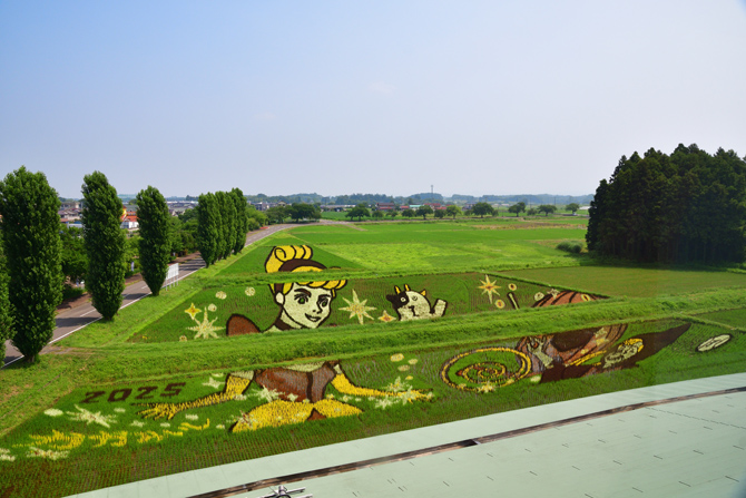かがみいし田んぼアート