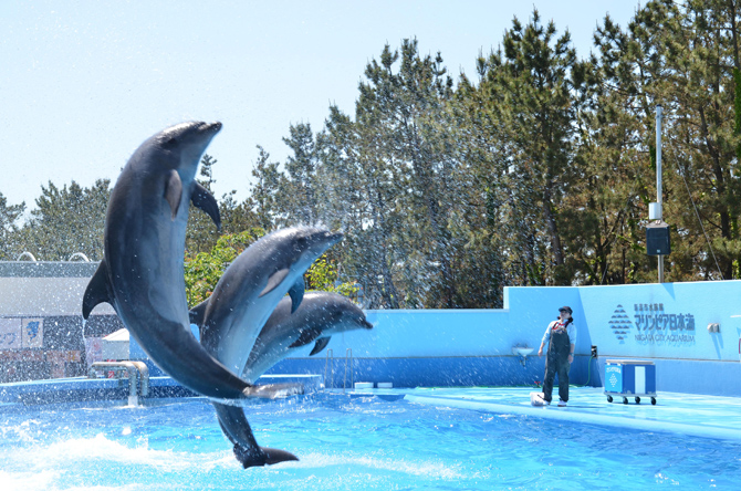 新潟市水族館 マリンピア日本海