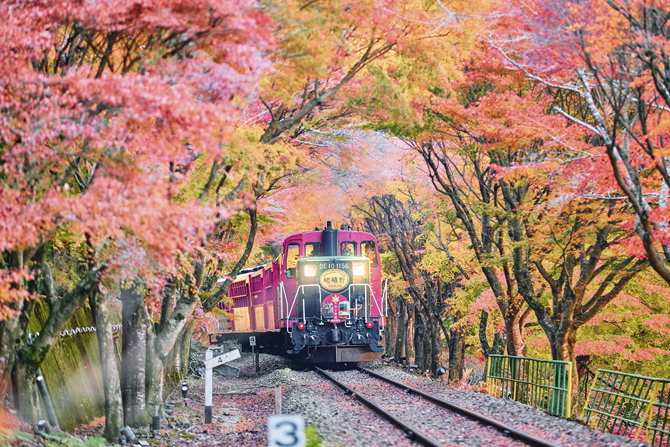 嵯峨野トロッコ列車