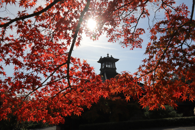 博物館 明治村
