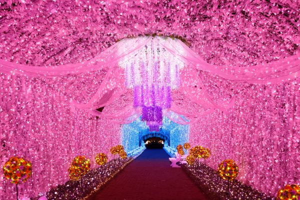 時之栖イルミネーション2025-2026「ひかりのすみか」