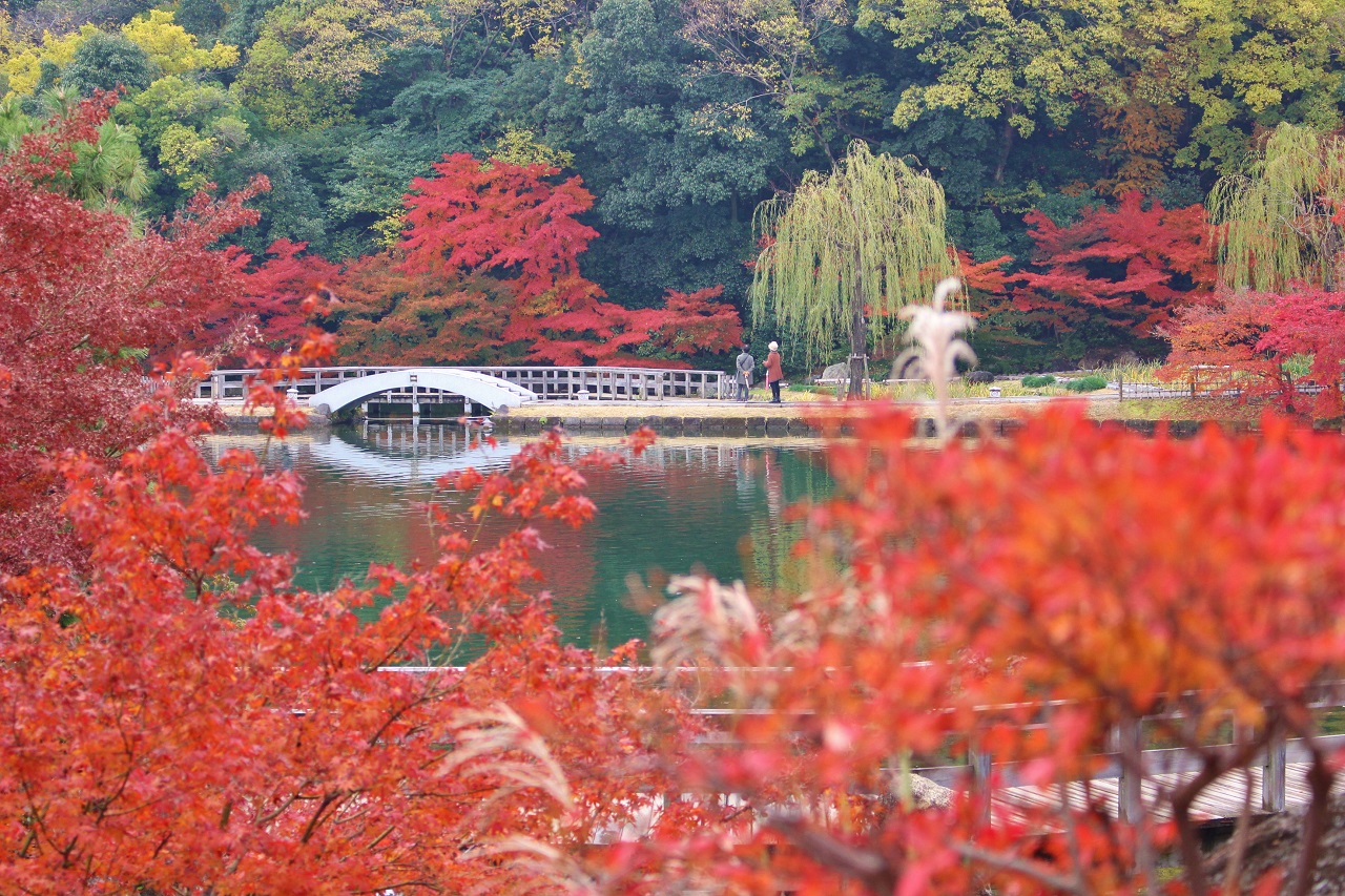 （画像提供：徳川園）