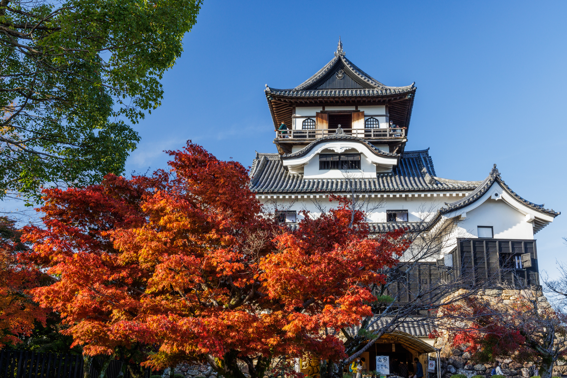 国宝犬山城
