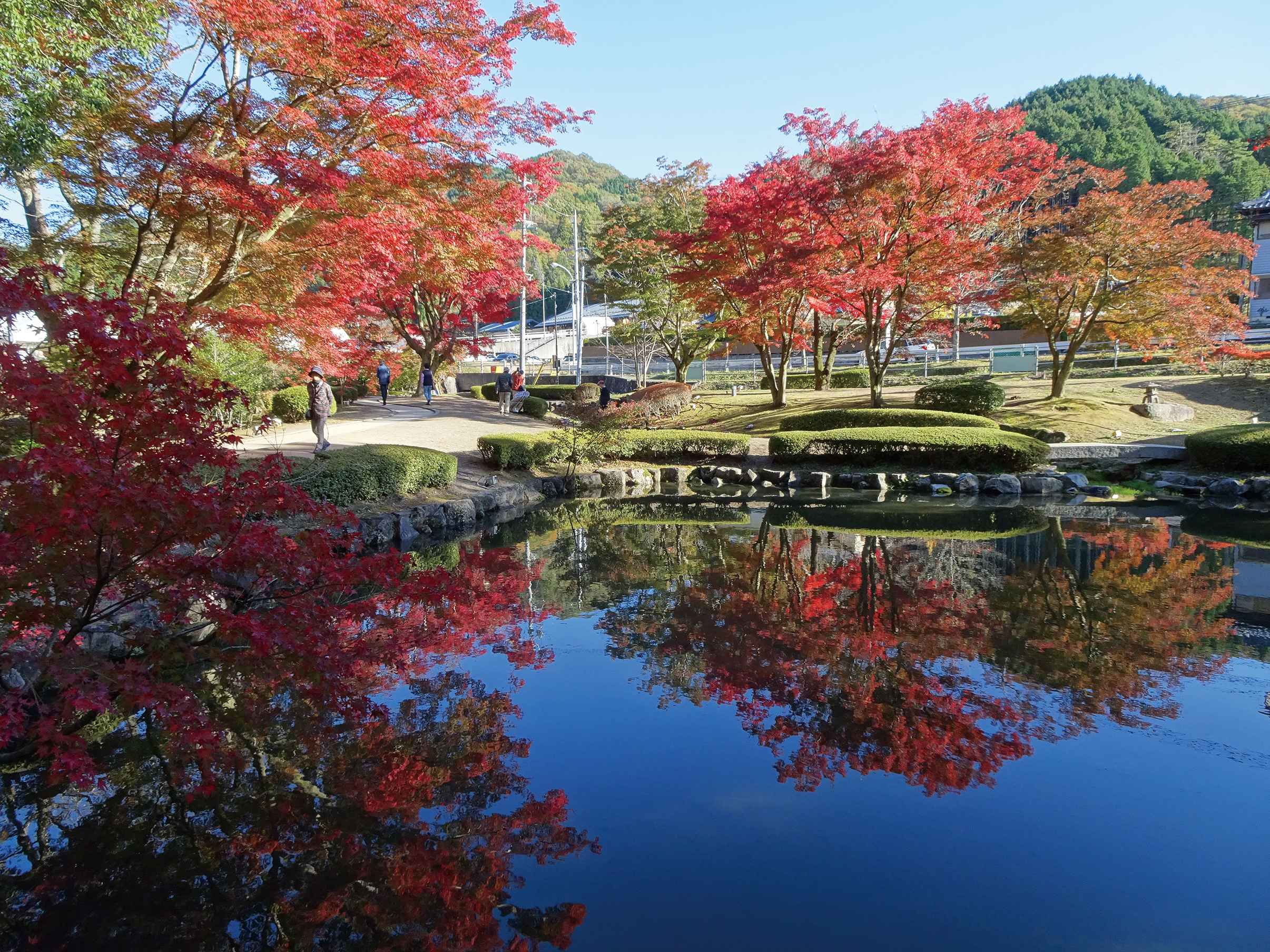 曽木公園