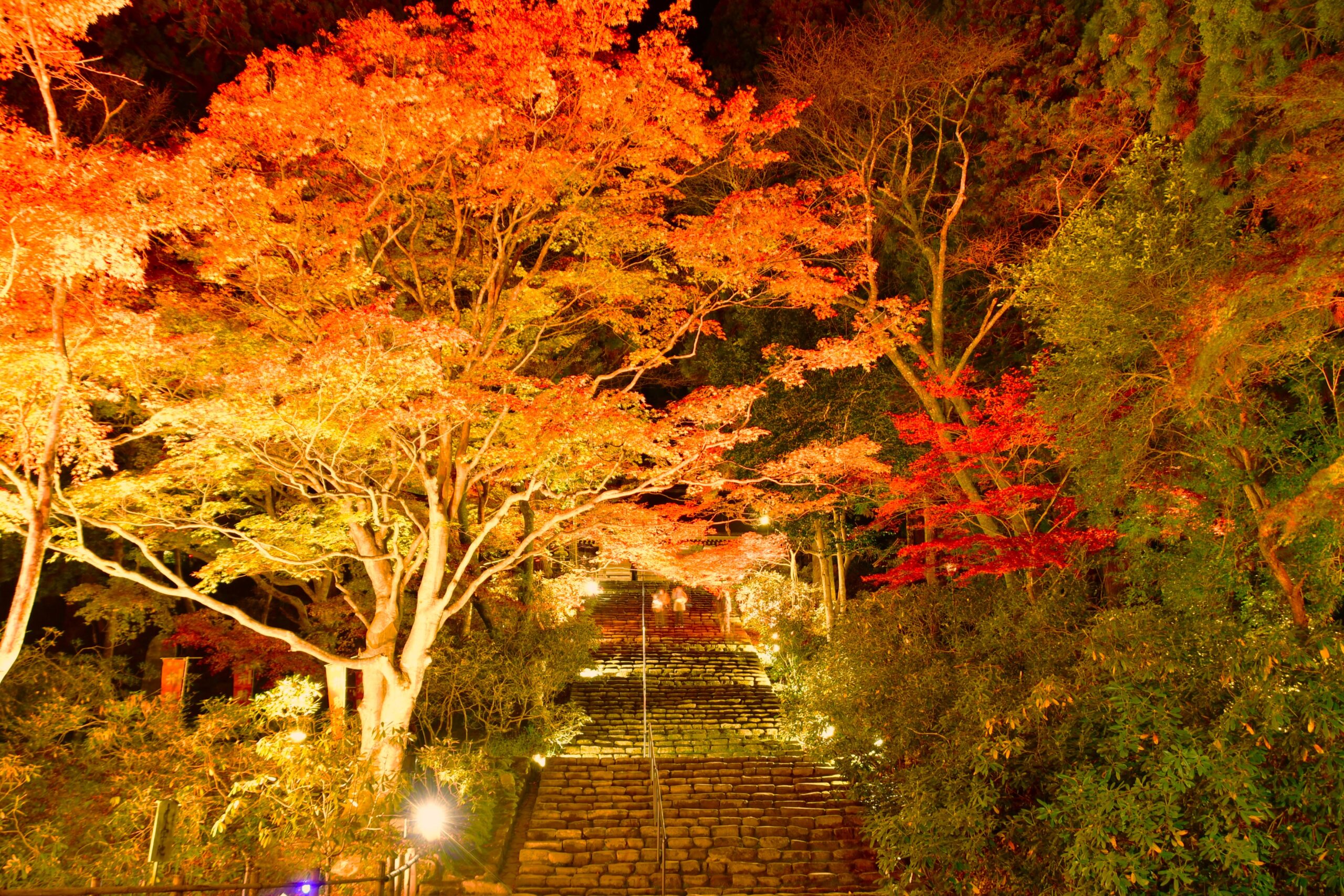 （画像提供：室生寺）