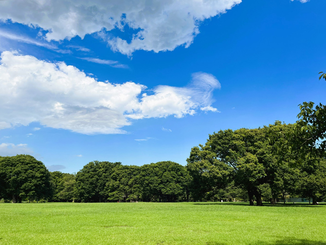 代々木公園