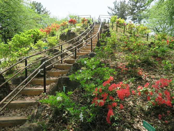 戸山公園