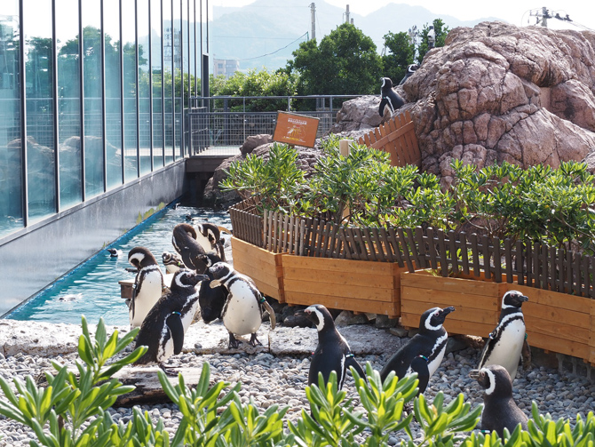 上越市立水族博物館 うみがたり