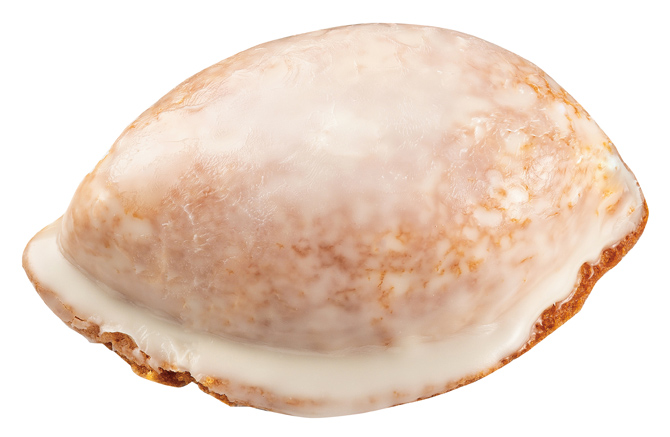 国産レモンケーキ