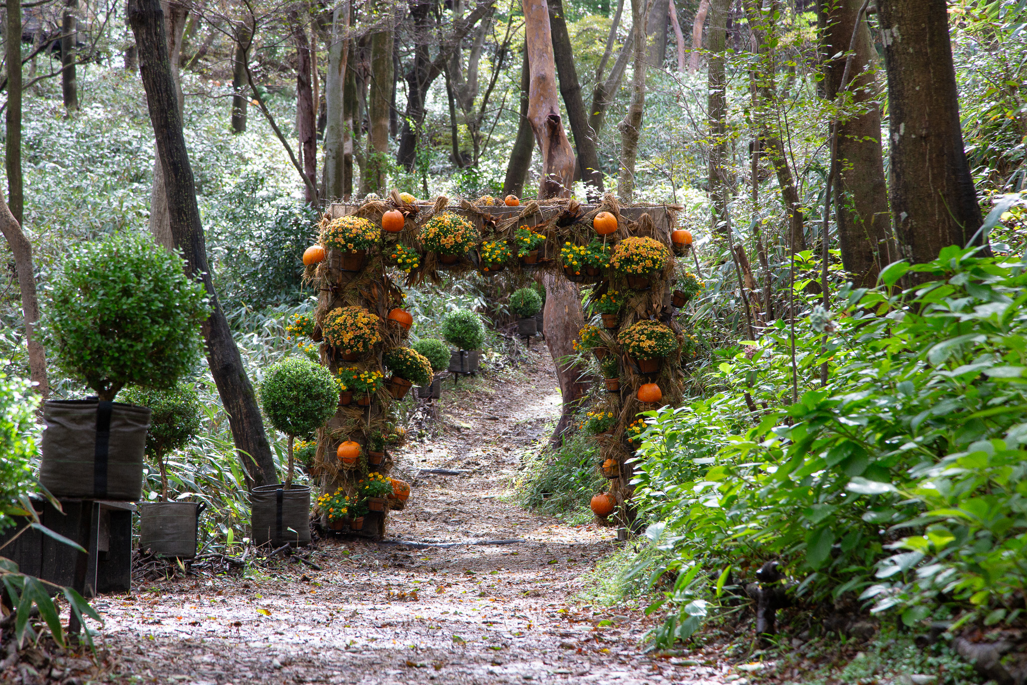NICOLAI BERGMANN HAKONE GARDENS