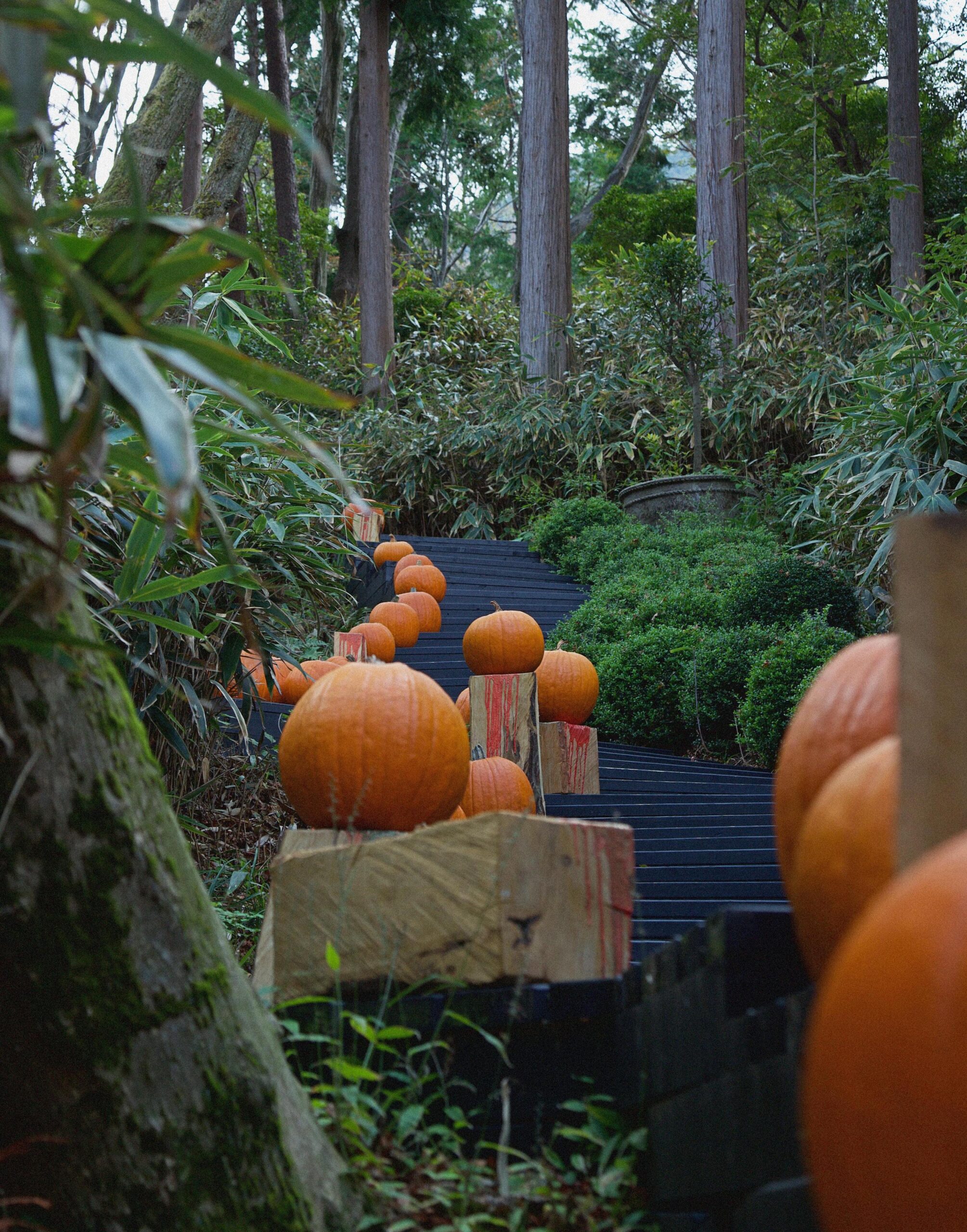 NICOLAI BERGMANN HAKONE GARDENS