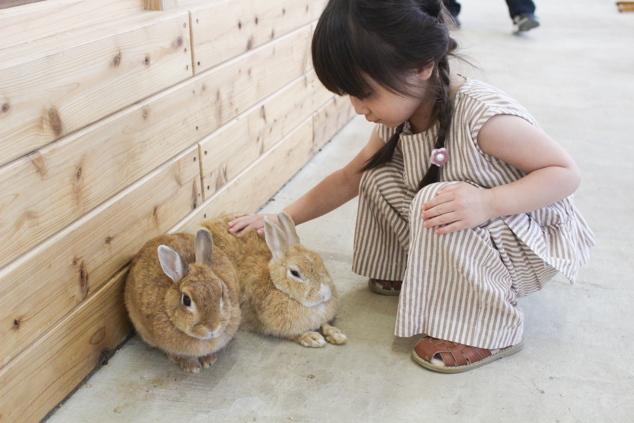 (画像提供:成田ゆめ牧場)