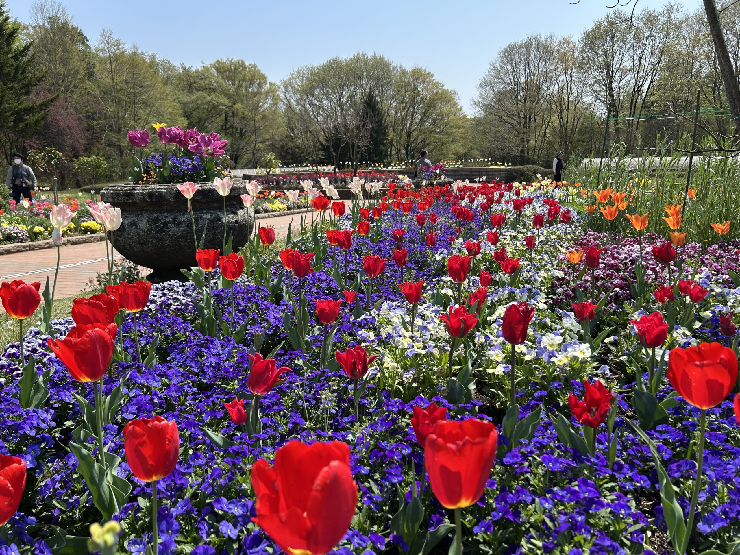 とちぎわんぱく公園