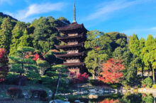 【山口県】多幸感に浸る♪この秋優雅に訪れたい、秋色の絶景＆グルメ特集！