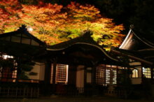 【下呂温泉の秋旅】紅葉スポット7選×温泉×体験×イベントまで一挙掲載！