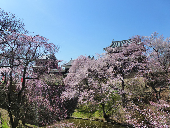 上田城跡公園
