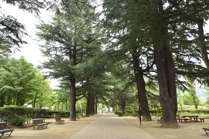 あがたの森公園（旧松本高等学校校舎・旧制高等学校記念館）