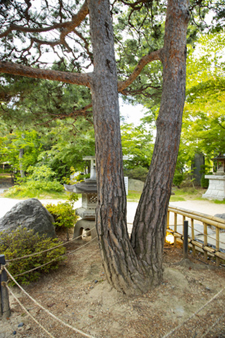 四柱神社