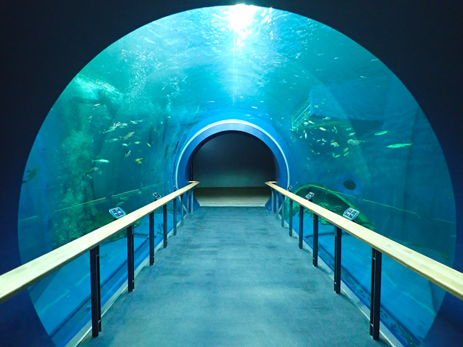 琵琶湖博物館