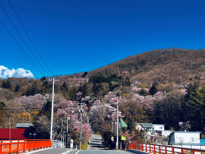 新得神社山