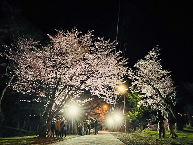 新得神社山