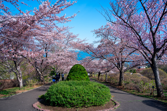 手宮公園（手宮緑化植物園）