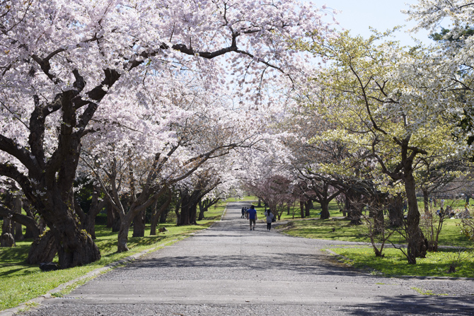 オニウシ公園