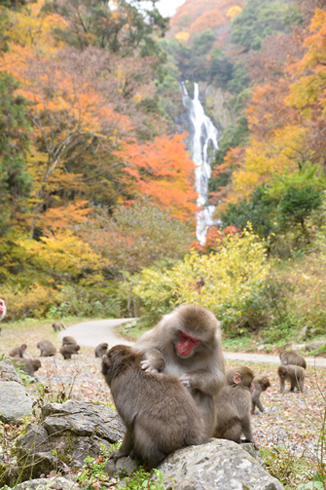 神庭の滝