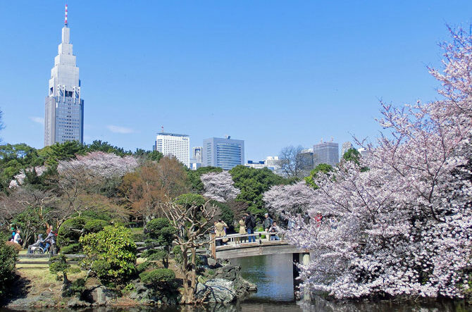 【東京】春のおすすめデートスポット15選！カップルでお出かけしたい場所を紹介