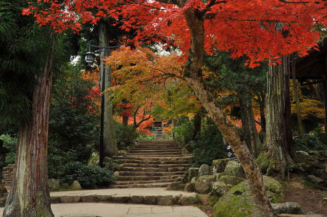 紅葉谷公園（撮影：新谷孝一）