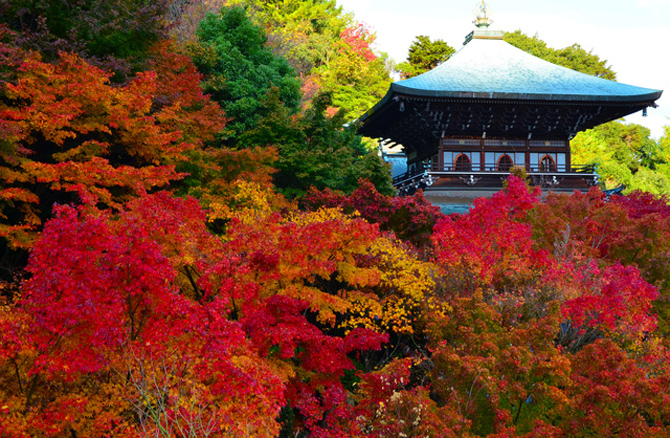大聖院（画像提供：ピクスタ）