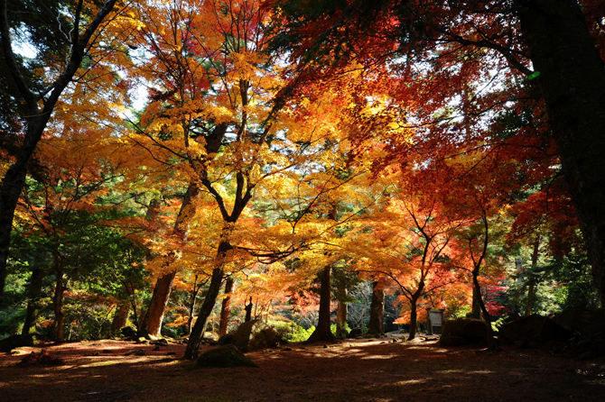 大元公園（撮影：新谷孝一）